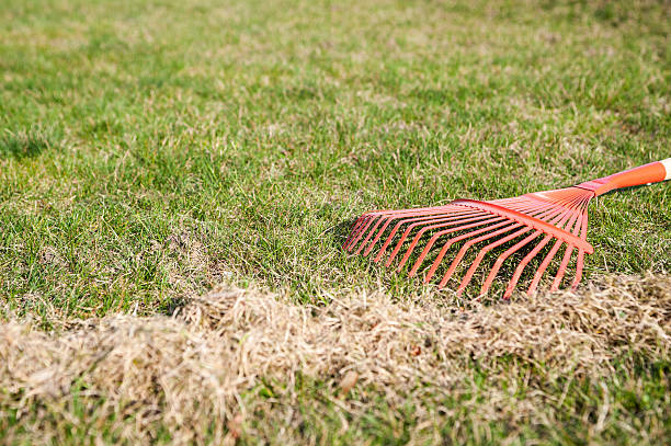 istock raking grass in the garden at springtime 518886142