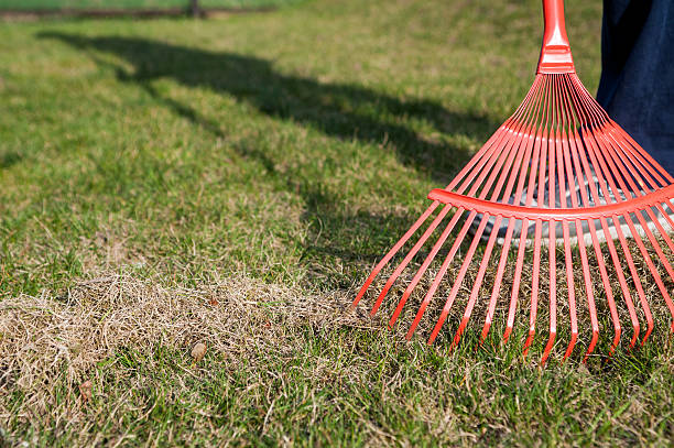 istock raking grass in the garden at springtime 518886278