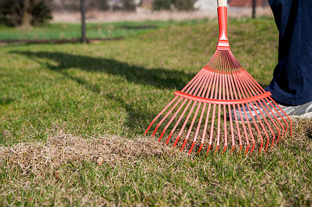 istock raking grass in the garden at springtime 518886548