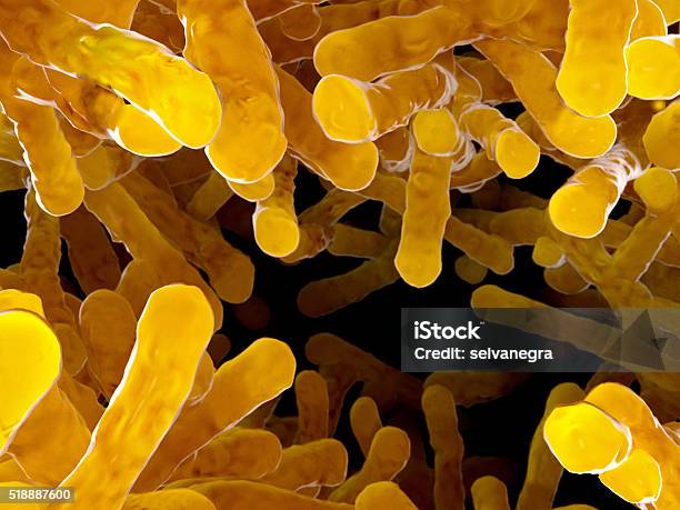 Bacterial Colony Bacilli Stock Photo - Download Image Now - Rebellion, Tuberculosis Bacterium, Bacterium