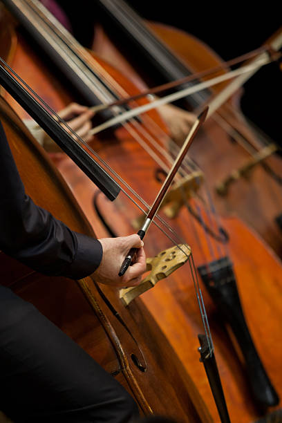 istock Basses in the symphony orchestra 518889440