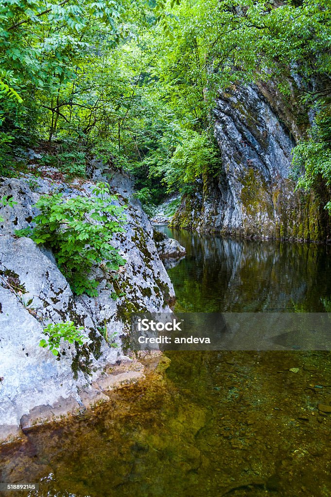 Green river Green river in an ancient canyon Ancient Stock Photo