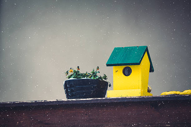 Yellow birdhouse and a flower pot on a wodden fence.