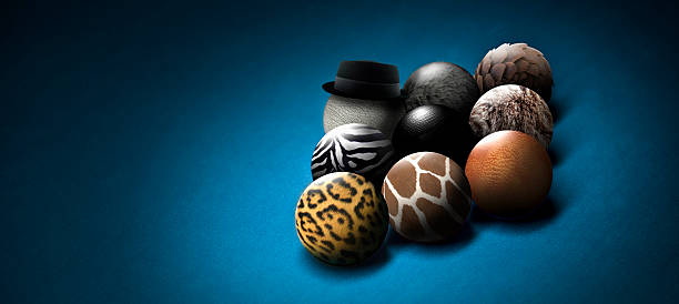 nine ball animal band