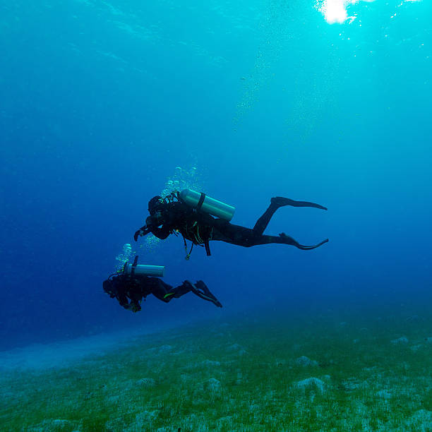 istock Silhouette of Two Divers near Sea Bottom 518897697