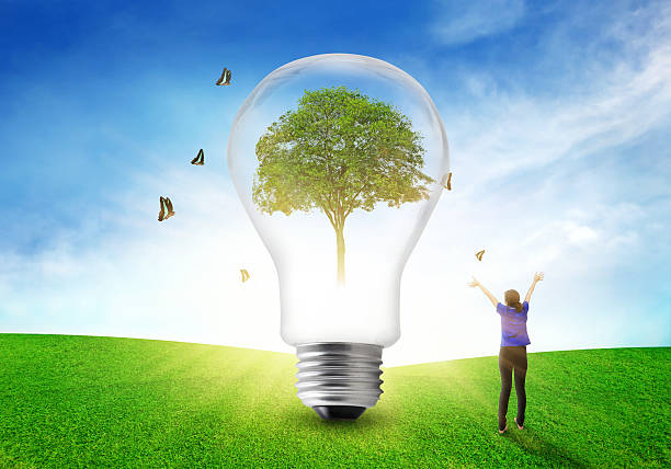 istock Women happy refreshing environmental on tree eco light bulb. 518899816