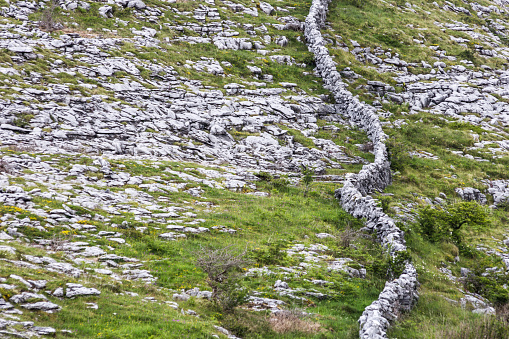 Drystone walls snake across the countryside as far as the eye can see, limestone walls, The Burren, County Clare, Ireland