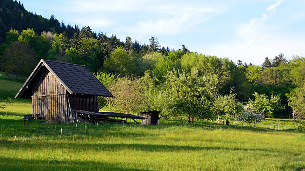 istock Meadows near Baden-Baden, Black Forest 518901592