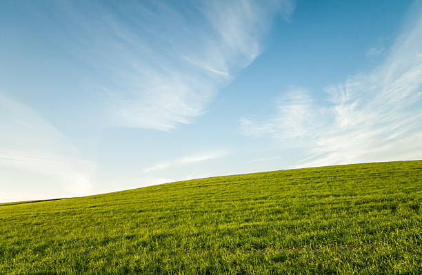 istock Green field and Blue cloudy sky 518902732