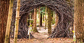 Circular Doorway made from Branches on Forest Path