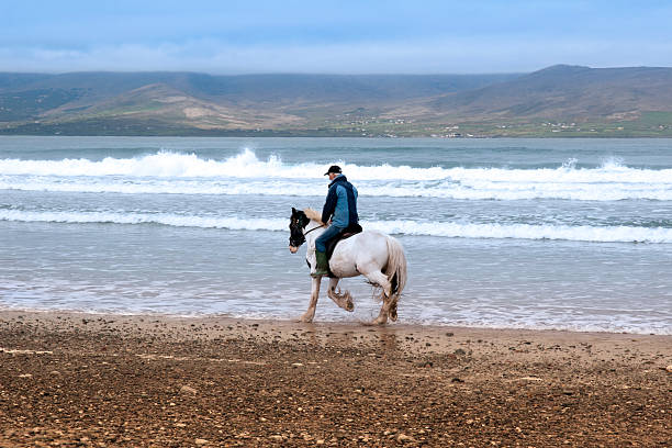 horse and rider on the maharees beach stock photo