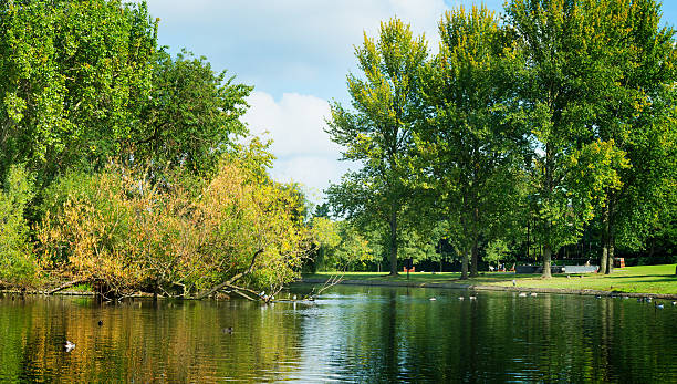 istock Pond panorama in British urban park 518907264