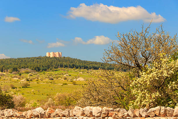 Spring landscape: Alta Murgia National Park.Apulia.Italy. In the background Castel del Monte.Apulia (Andria). trulli house photos stock pictures, royalty-free photos & images