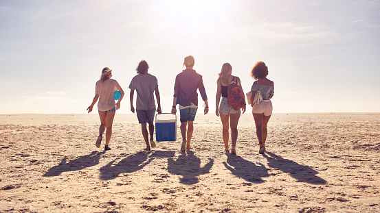 Rear view portrait of group of friends walking on the beach and helping each other while carrying a cooler box. Young people on sea shore on a summer day.