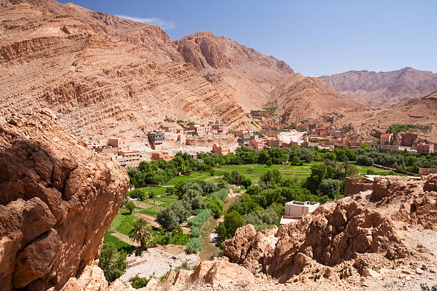 Palmery in Todra Gorge, Morocco