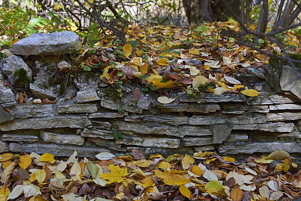 istock Ancient  foundations of an ancient building. 518915223