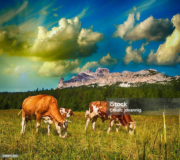 Grazing Cows On Dolomites Mountains Near Cortina Dampezzo Stock Photo - Download Image Now