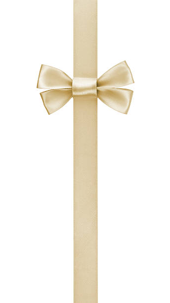 vertical border with champagne color ribbon bow