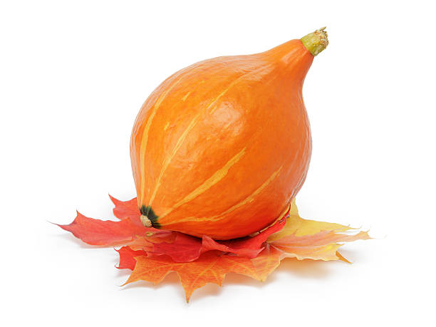 istock halloween pumpkin with leaves 518916811