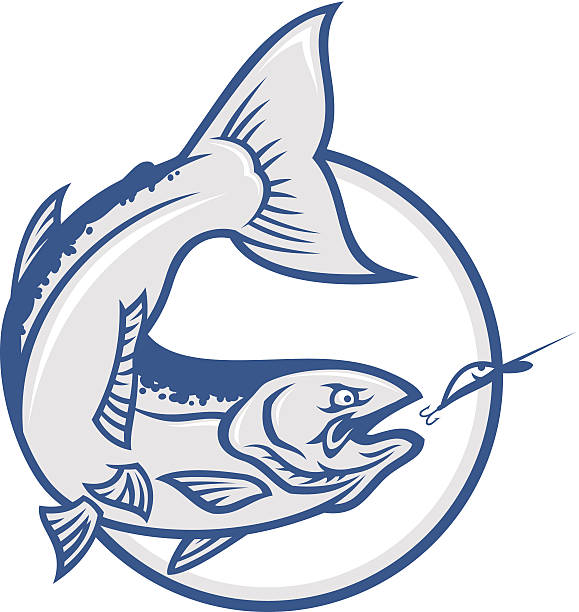 łosoś - chinook salmon stock illustrations