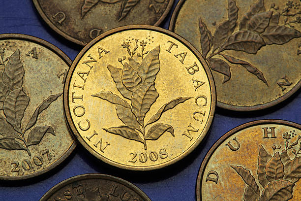 istock Coins of Croatia 518927409