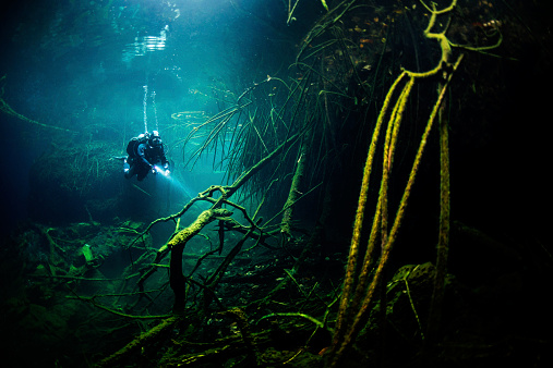 Scuba diver exploring the underwater cenotes.
