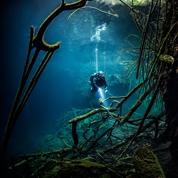 Branches in the water Scuba diver exploring the underwater cenotes filled with branches and rocks. puerto aventuras stock pictures, royalty-free photos & images