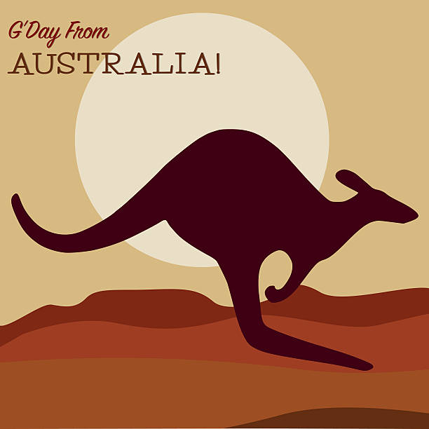 stockillustraties, clipart, cartoons en iconen met kangaroo at sunset - dry january