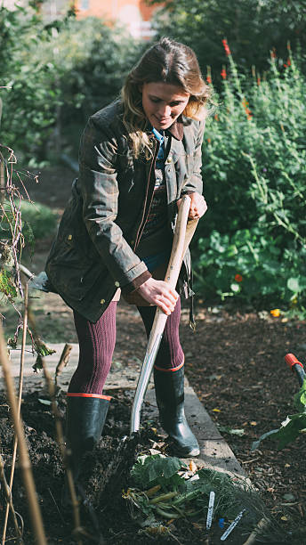 istock Woman working in the garden 518943361
