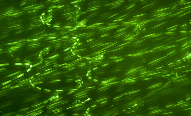 Green sparks stock photo