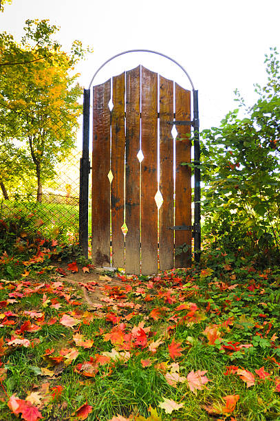 porta no outono - straggling imagens e fotografias de stock