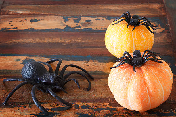 istock Halloween  background pumpkins and spiders on wooden table 518944665