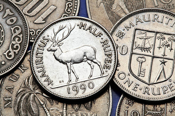 istock Coins of Mauritius 518945213