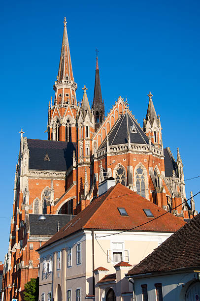 The co-cathedral of St Peter and St Paul in Osijek Osijek, Croatia - August 21, 2014: The co-cathedral of St Peter and St Paul in Osijek, Croatia. osijek photos stock pictures, royalty-free photos & images
