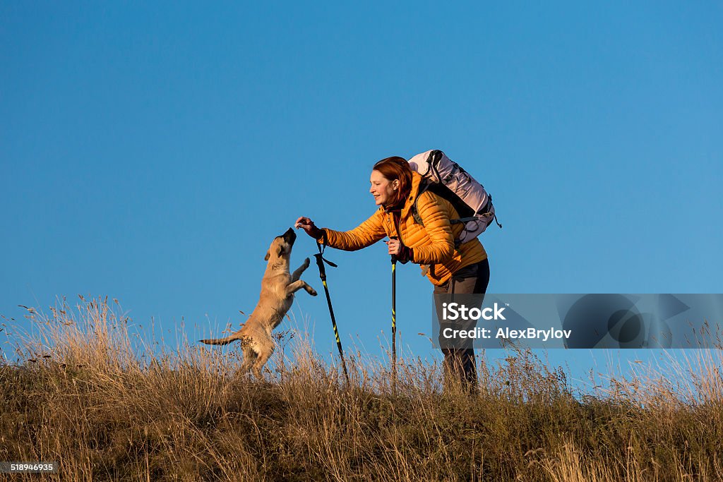 Hiker and dog Female hiker has break on her walk and feeds her dog Dog Stock Photo