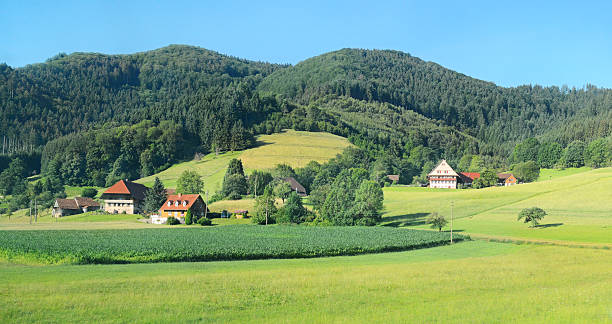 istock House in the mountains 518948435