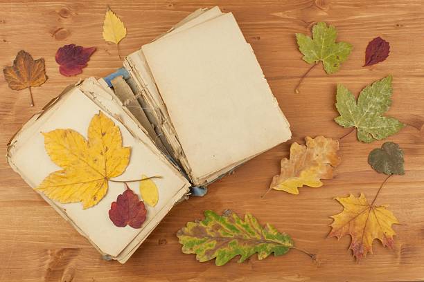 istock Dry leaves and old book on wooden background 518948962