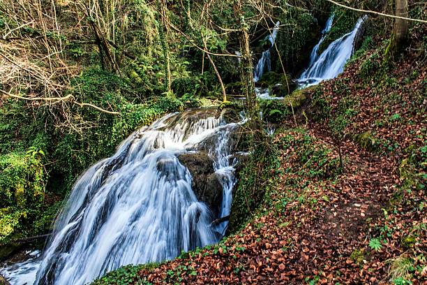 красивая природа waterfaill в altube, basgue страны, испания - waterfall river stream mountain стоковые фото и изображения