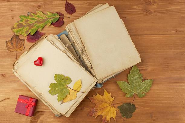 istock Dry leaves and old book on wooden background 518949194