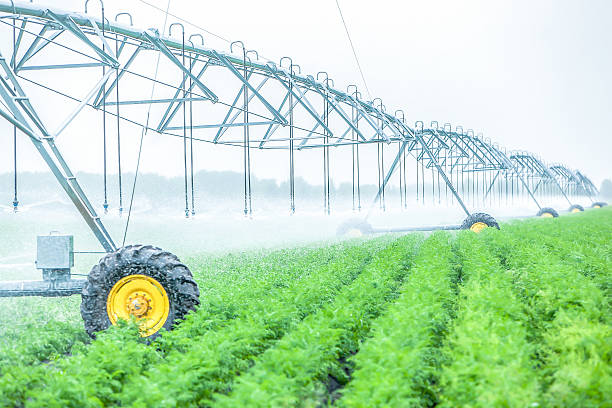 istock plant watering system at idustrial farm outside 518949432