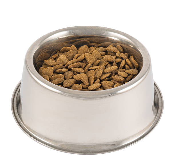 istock Pet's dog metal bowl isolated 518951202