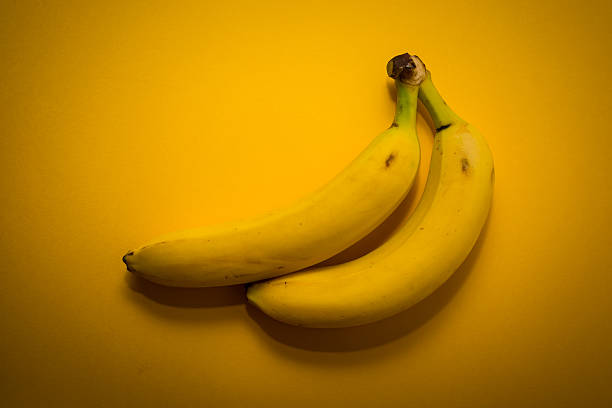 istock Two yellow bananas on the yellow background 518953946