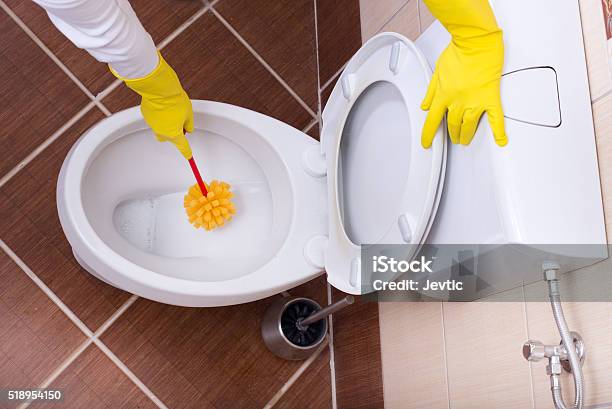 Woman Cleaning Toilet Bowl Stock Photo - Download Image Now - Adult, Bathroom, Bowl