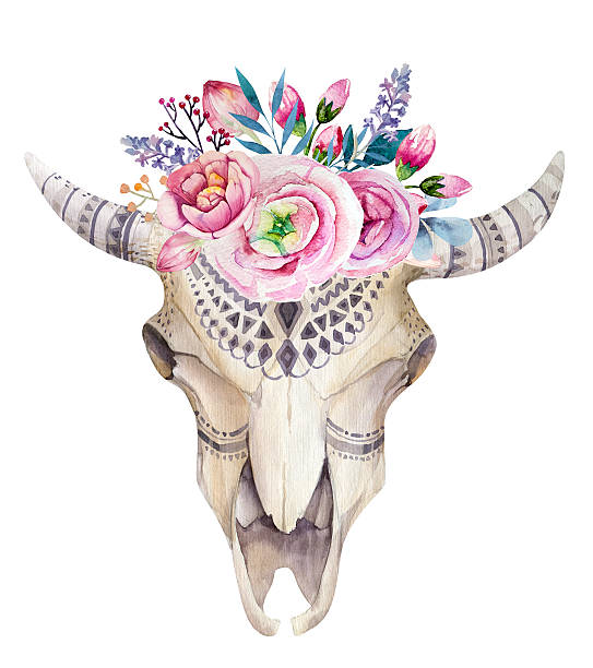 istock Watercolor cow skull with flowers and feathers decoration. Boho 518955016