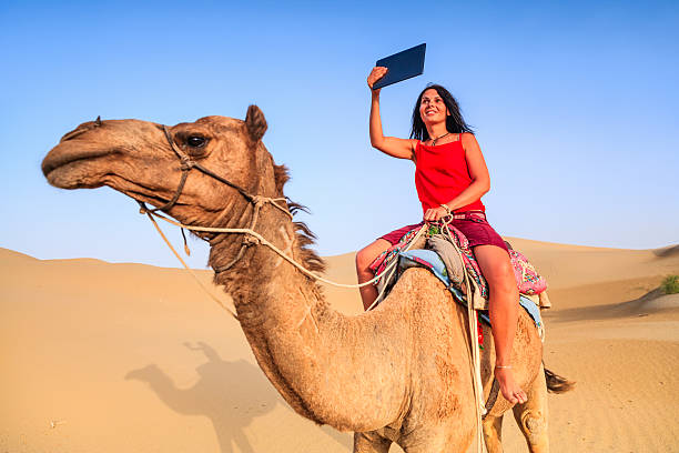 femme jeune touriste prenant selfie sur un chameau, rajasthan, inde - bride women standing beauty in nature photos et images de collection