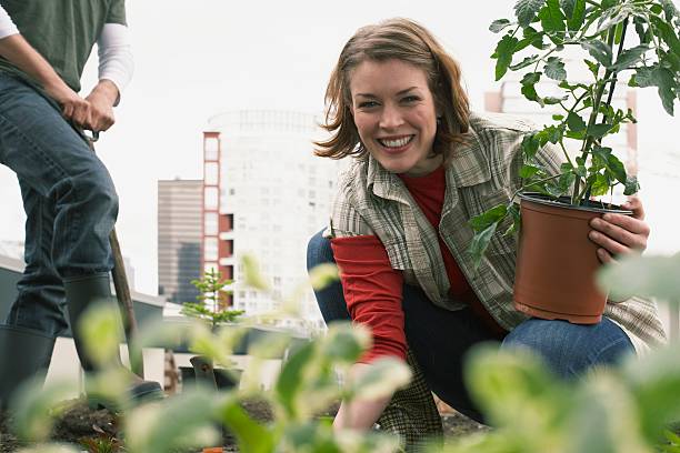 istock Woman and man gardening 518958294