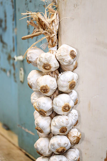 seqüência de caracteres de alho e lâmpadas penduradas em cozinha húngara rural - garlic hanging string vegetable - fotografias e filmes do acervo
