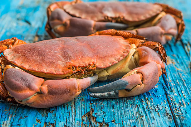 istock Boiled crab on wooden table 518961250
