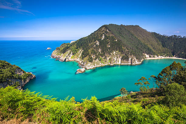 Lower Estuary from the Mirador Tina Minor. Municipality of Val Lower Estuary from the Mirador Tina Minor. Municipality of Val de San Vicente, Cantabria. mirador stock pictures, royalty-free photos & images