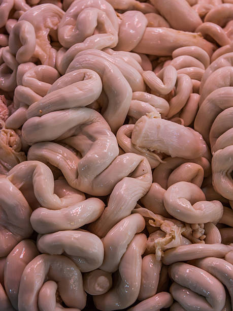 istock Raw pork intestines in market. 518978519